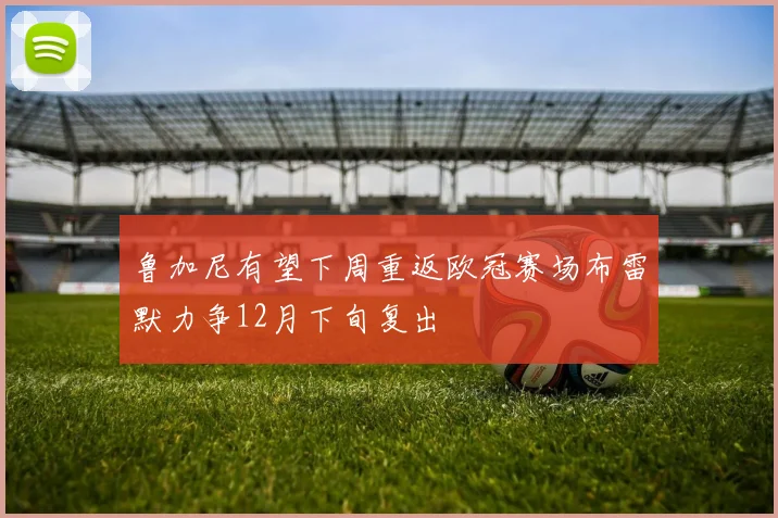 鲁加尼有望下周重返欧冠赛场布雷默力争12月下旬复出